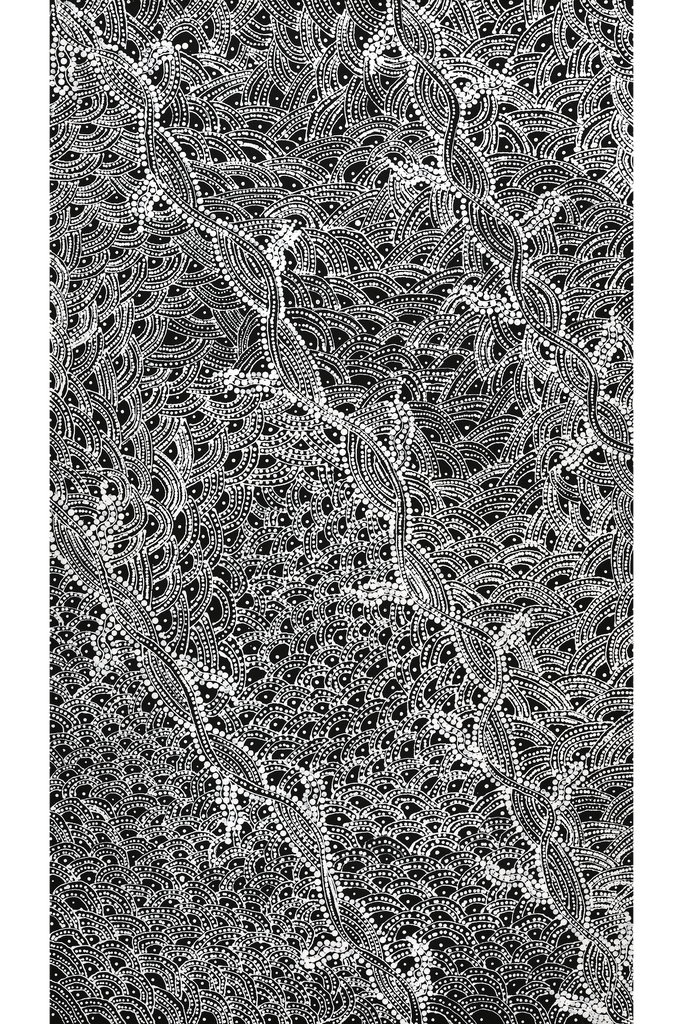 Aboriginal Artwork by Tanya Nungarrayi Collins, Watiya-warnu Jukurrpa (Seed Dreaming), 107x61cm