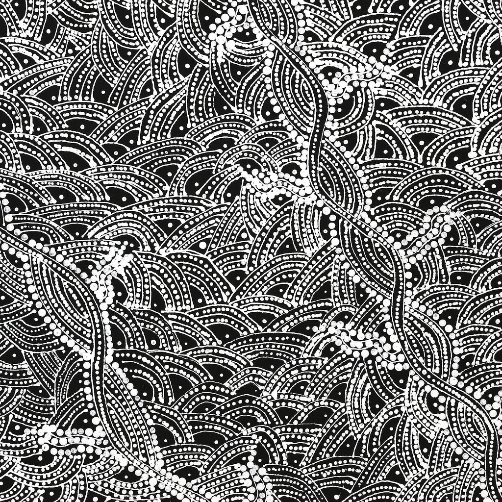 Aboriginal Artwork by Tanya Nungarrayi Collins, Watiya-warnu Jukurrpa (Seed Dreaming), 107x61cm