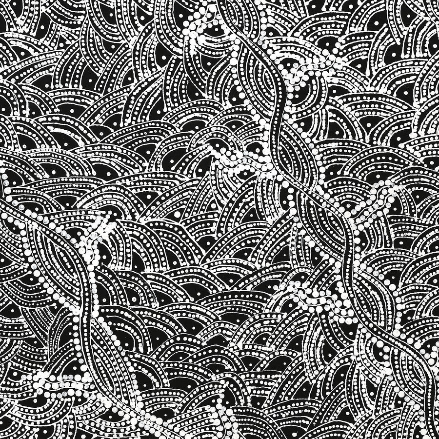 Aboriginal Artwork by Tanya Nungarrayi Collins, Watiya-warnu Jukurrpa (Seed Dreaming), 107x61cm