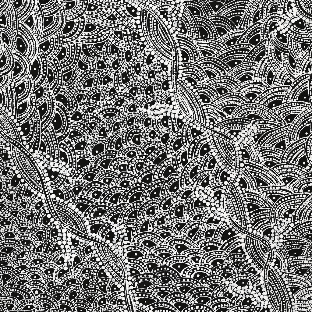 Aboriginal Artwork by Tanya Nungarrayi Collins, Watiya-warnu Jukurrpa (Seed Dreaming), 107x61cm
