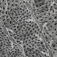 Aboriginal Artwork by Tanya Nungarrayi Collins, Watiya-warnu Jukurrpa (Seed Dreaming), 107x61cm