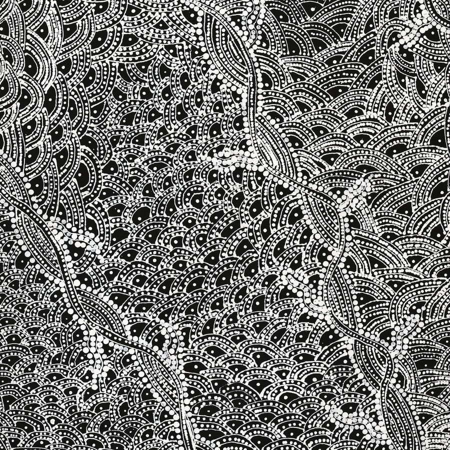 Aboriginal Artwork by Tanya Nungarrayi Collins, Watiya-warnu Jukurrpa (Seed Dreaming), 107x61cm