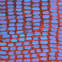 Aboriginal Artwork by Teranie Nangala Williams, Wanakiji Jukurrpa (Bush Tomato Dreaming), 50x40cm
