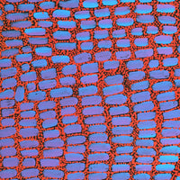 Aboriginal Artwork by Teranie Nangala Williams, Wanakiji Jukurrpa (Bush Tomato Dreaming), 50x40cm