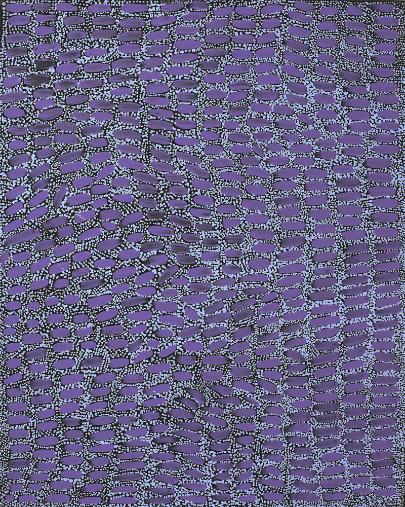 Aboriginal Artwork by Teranie Nangala Williams, Wanakiji Jukurrpa (Bush Tomato Dreaming), 50x40cm