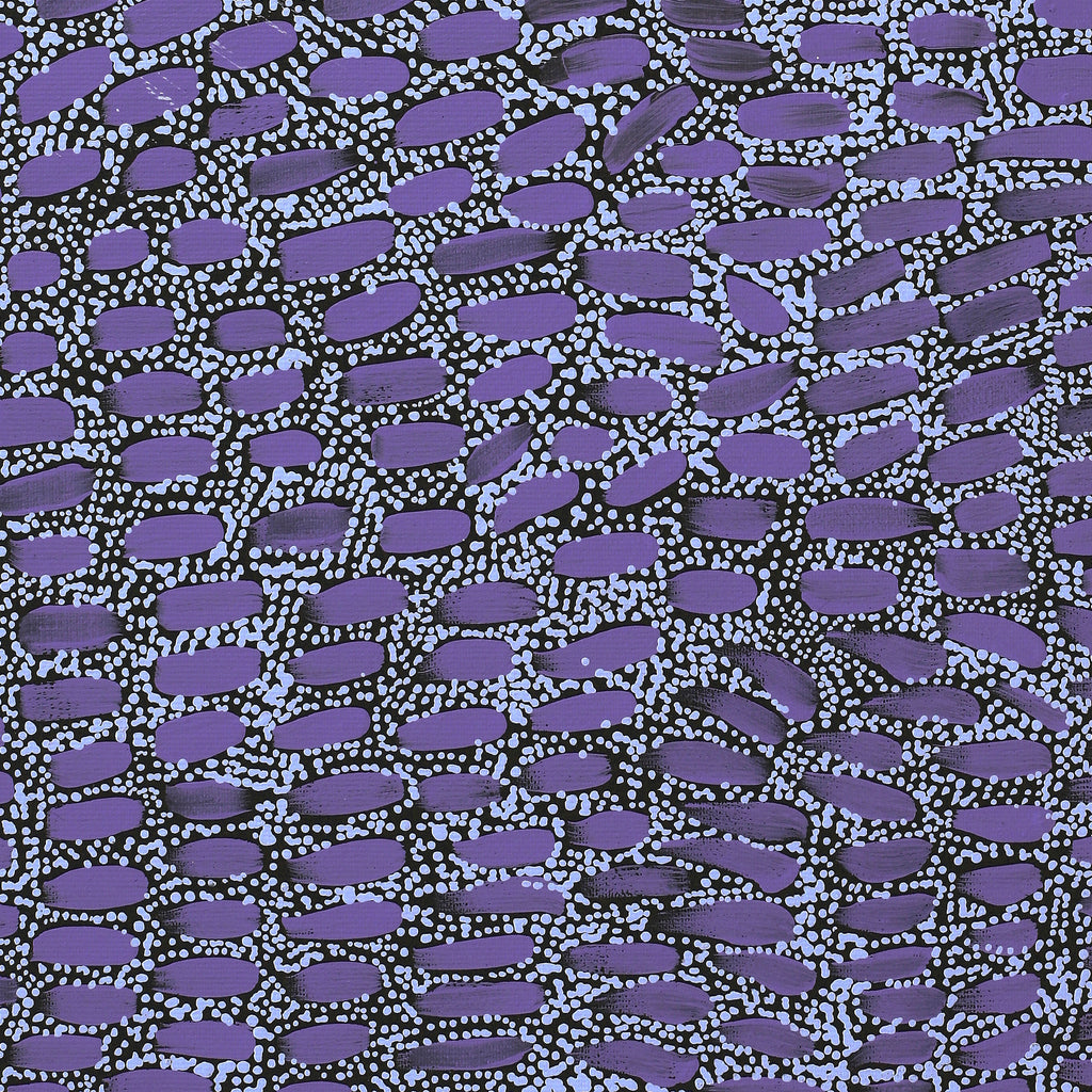 Aboriginal Artwork by Teranie Nangala Williams, Wanakiji Jukurrpa (Bush Tomato Dreaming), 50x40cm
