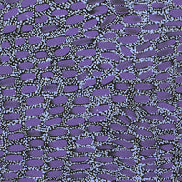 Aboriginal Artwork by Teranie Nangala Williams, Wanakiji Jukurrpa (Bush Tomato Dreaming), 50x40cm