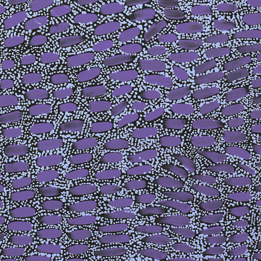 Aboriginal Artwork by Teranie Nangala Williams, Wanakiji Jukurrpa (Bush Tomato Dreaming), 50x40cm