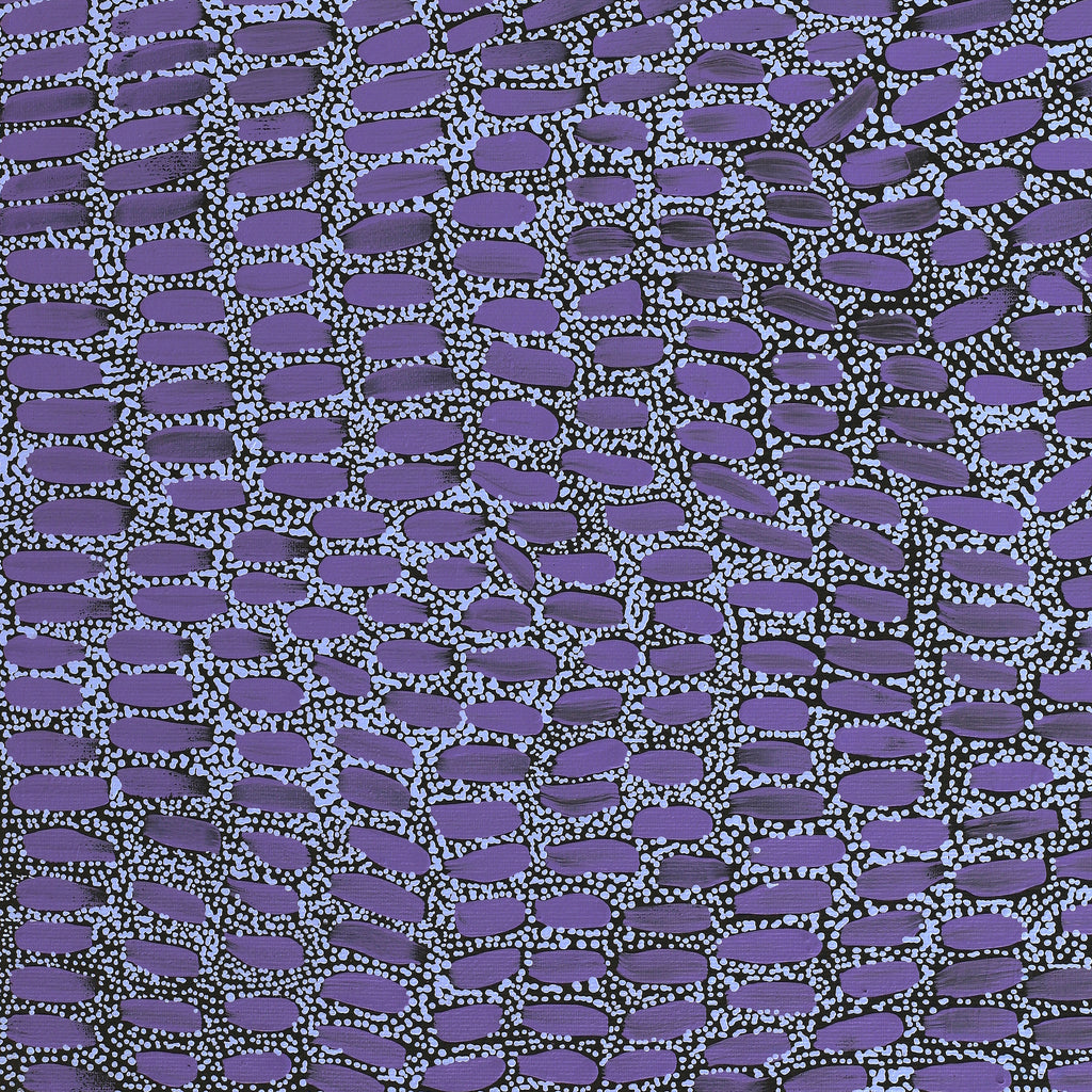 Aboriginal Artwork by Teranie Nangala Williams, Wanakiji Jukurrpa (Bush Tomato Dreaming), 50x40cm