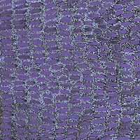Aboriginal Artwork by Teranie Nangala Williams, Wanakiji Jukurrpa (Bush Tomato Dreaming), 50x40cm