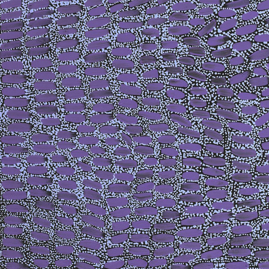 Aboriginal Artwork by Teranie Nangala Williams, Wanakiji Jukurrpa (Bush Tomato Dreaming), 50x40cm