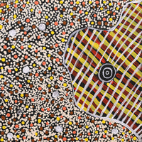 Aboriginal Artwork by Teranie Nangala Williams, Wanakiji Jukurrpa (Bush Tomato Dreaming), 30x30cm