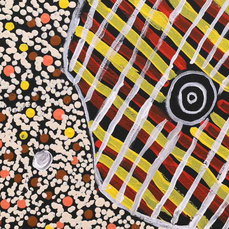 Aboriginal Artwork by Teranie Nangala Williams, Wanakiji Jukurrpa (Bush Tomato Dreaming), 30x30cm