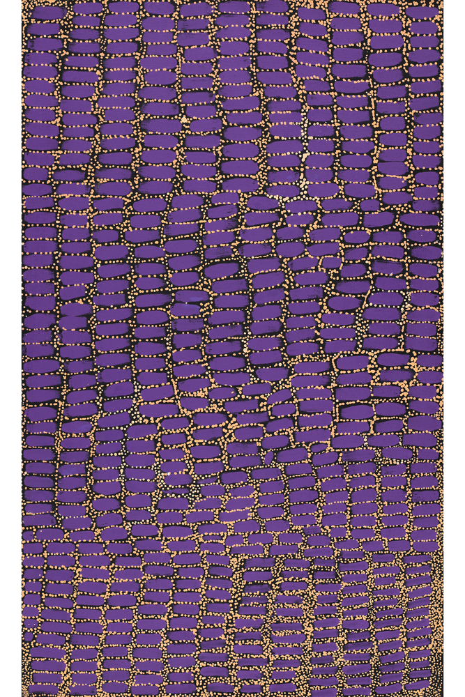 Aboriginal Artwork by Teranie Nangala Williams, Wanakiji Jukurrpa (Bush Tomato Dreaming), 76x46cm