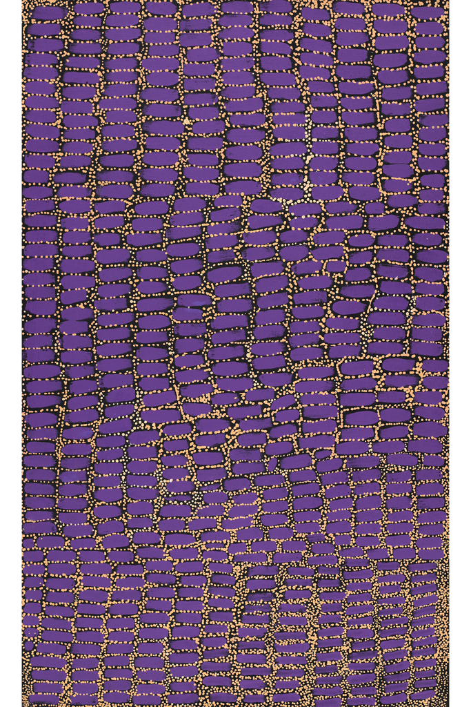 Aboriginal Artwork by Teranie Nangala Williams, Wanakiji Jukurrpa (Bush Tomato Dreaming), 76x46cm