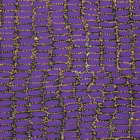 Aboriginal Artwork by Teranie Nangala Williams, Wanakiji Jukurrpa (Bush Tomato Dreaming), 76x46cm