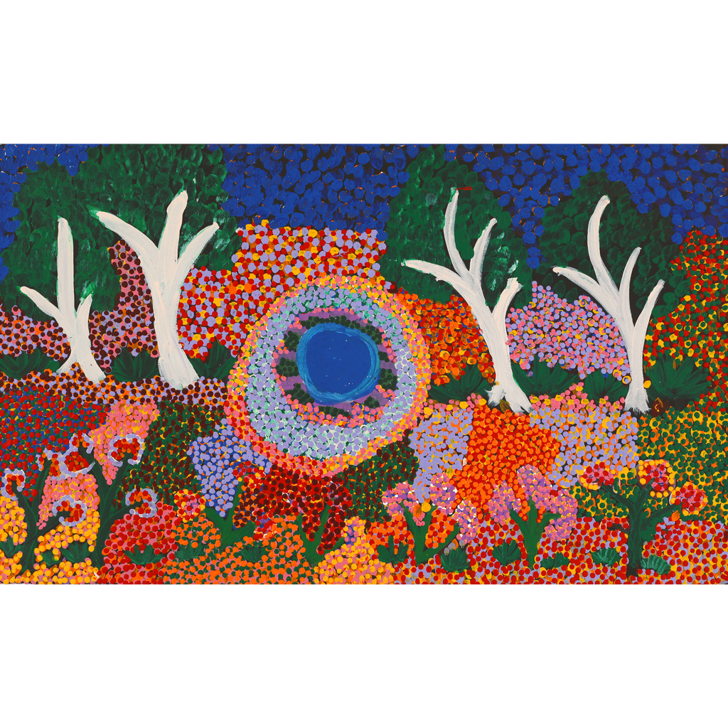 Aboriginal Artwork by Thelma Dundan Ngarga Judson, Flower After the Rain, 76x46cm