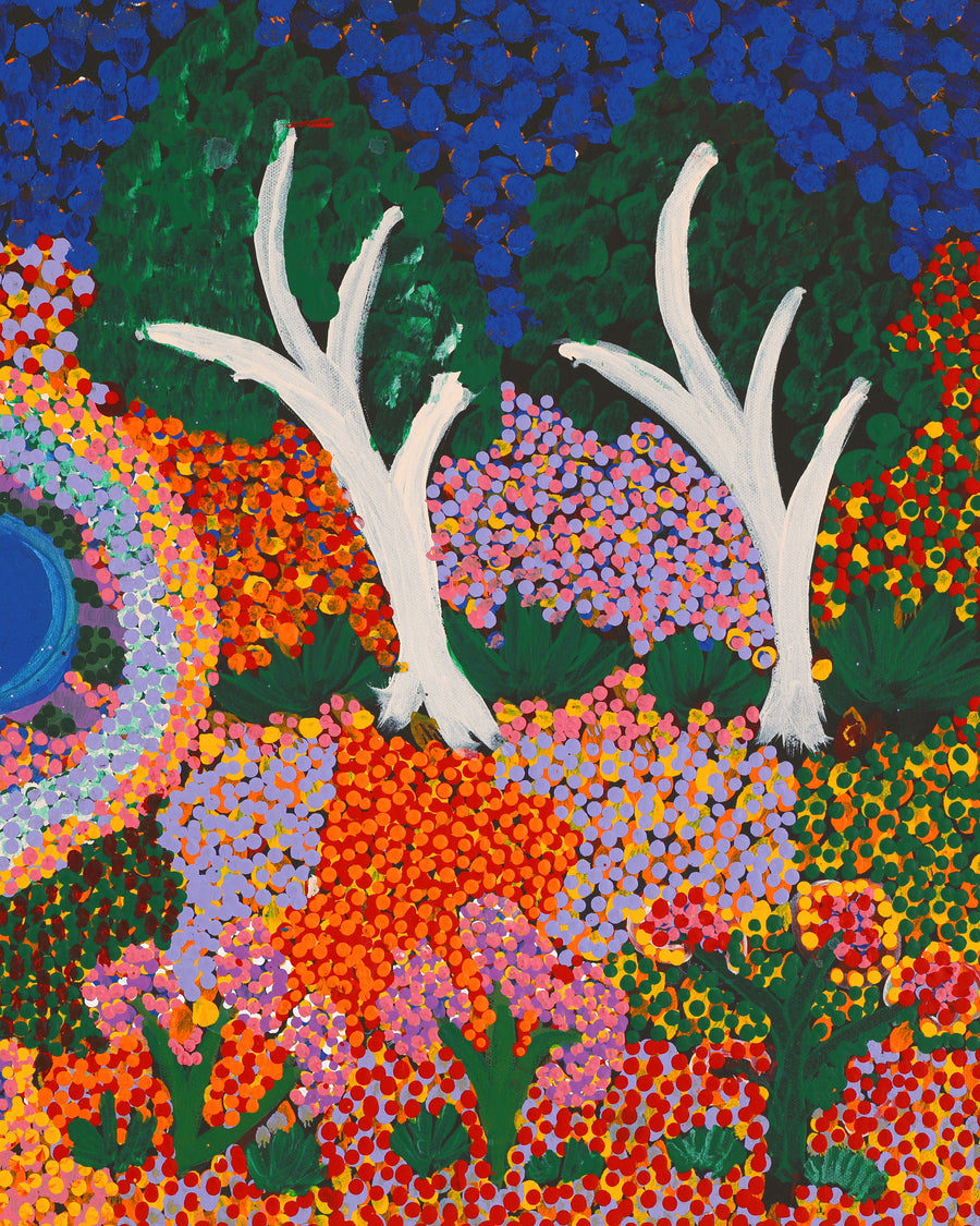 Aboriginal Artwork by Thelma Dundan Ngarga Judson, Flower After the Rain, 76x46cm