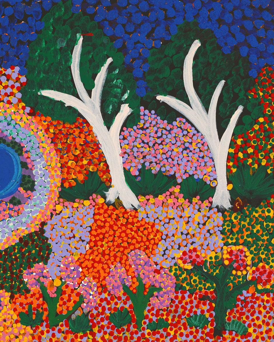 Aboriginal Artwork by Thelma Dundan Ngarga Judson, Flower After the Rain, 76x46cm