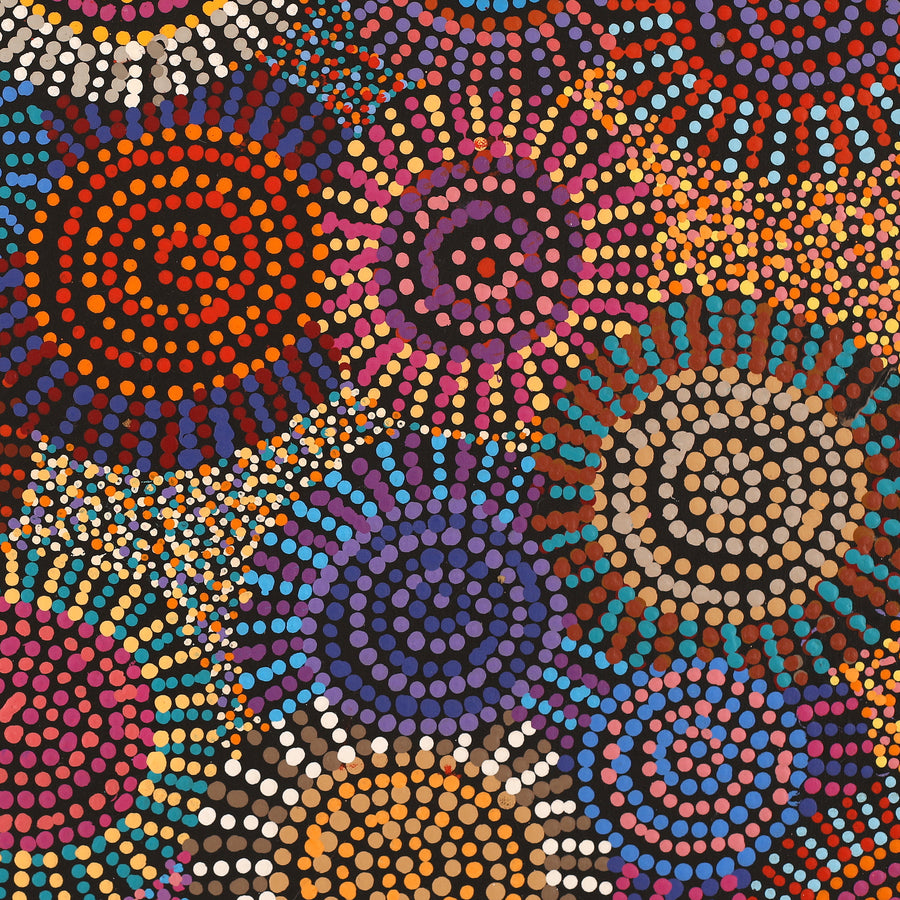 Aboriginal Artwork by Tina Napangardi Martin, Jintiparnta Jukurrpa (Desert Truffle Dreaming) - Mina Mina, 61x46cm