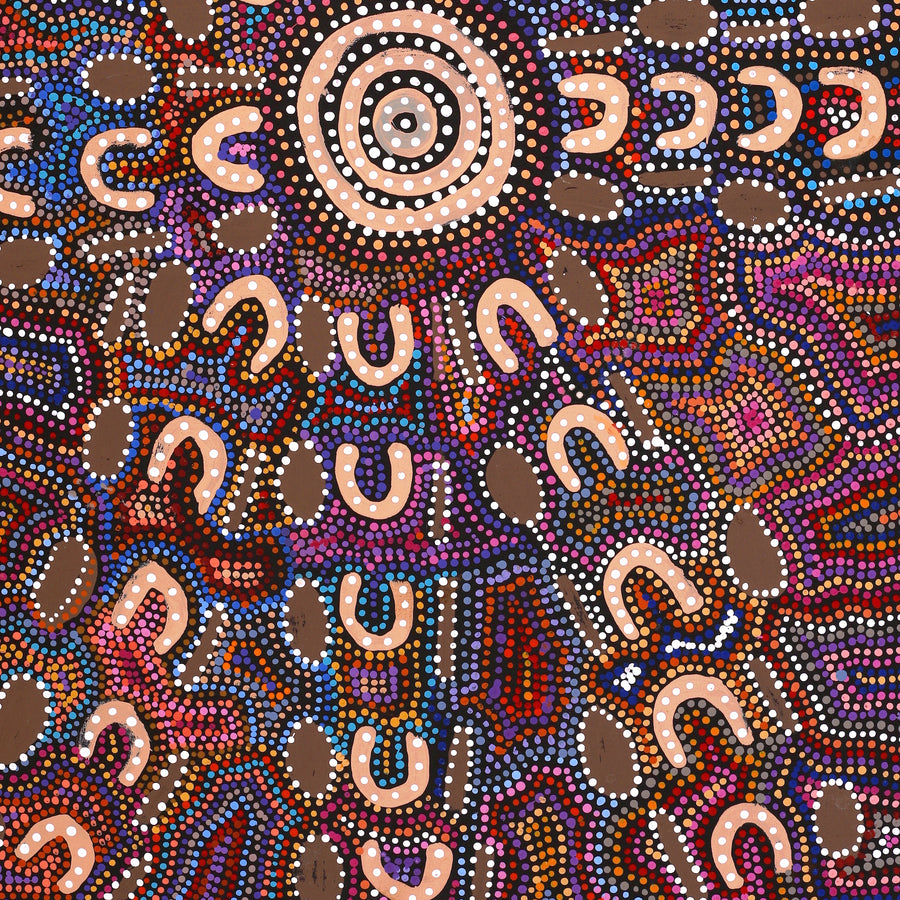 Aboriginal Artwork by Tina Napangardi Martin, Jinti-parnta Jukurrpa, 107x61cm
