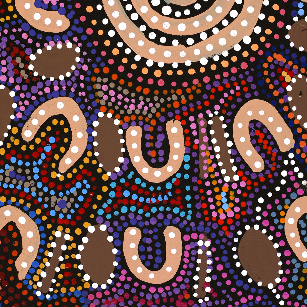 Aboriginal Artwork by Tina Napangardi Martin, Jinti-parnta Jukurrpa, 107x61cm