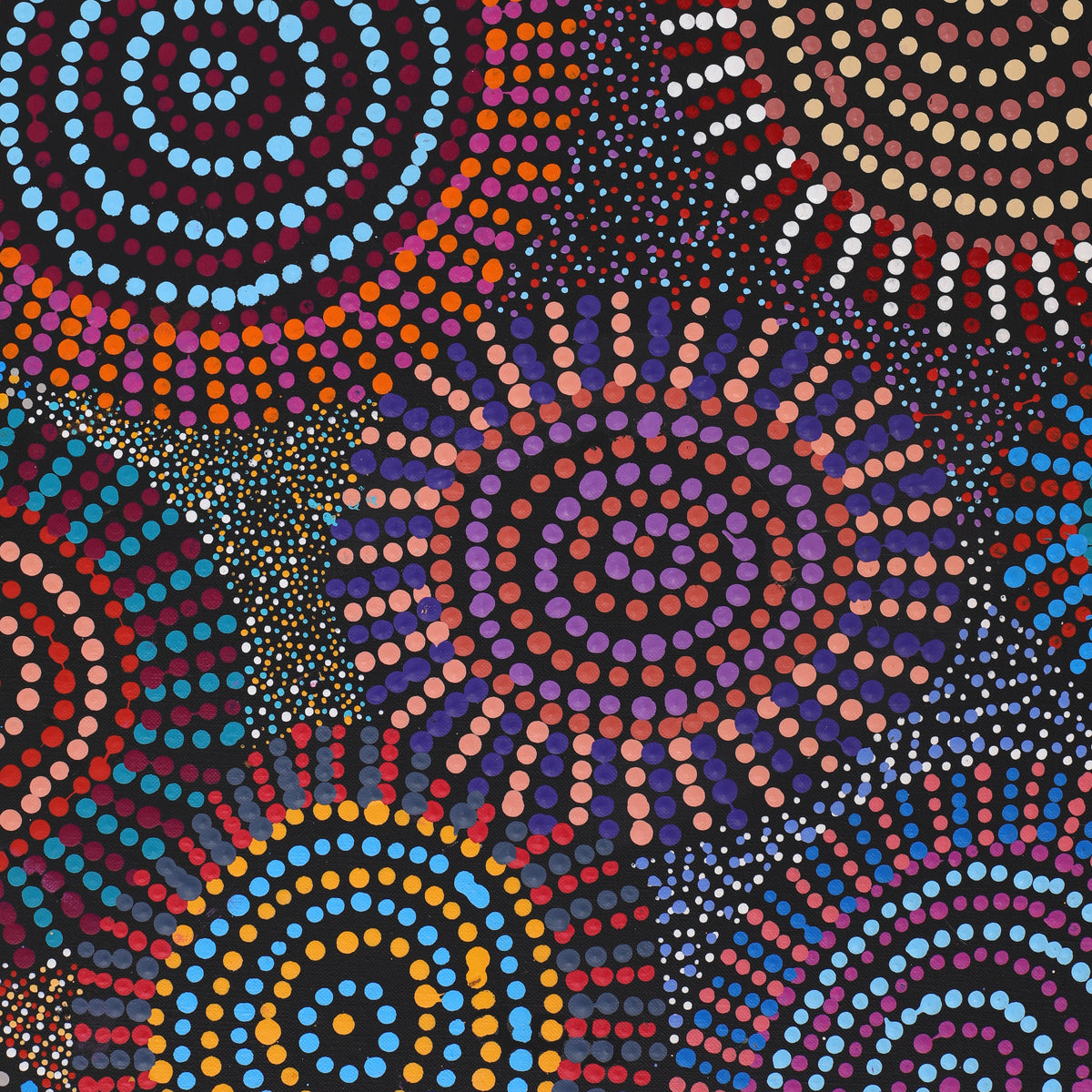 Aboriginal Art by Tina Napangardi Martin, Jintiparnta Jukurrpa (Desert Truffle Dreaming) - Mina Mina, 183x152cm - ART ARK®