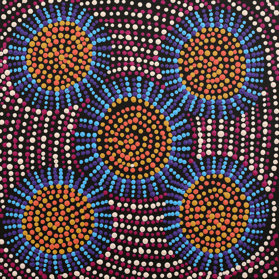 Aboriginal Artwork by Tina Napangardi Martin, Jinti-parnta Jukurrpa, 30x30cm