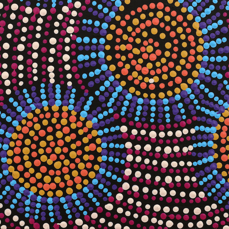 Aboriginal Artwork by Tina Napangardi Martin, Jinti-parnta Jukurrpa, 30x30cm
