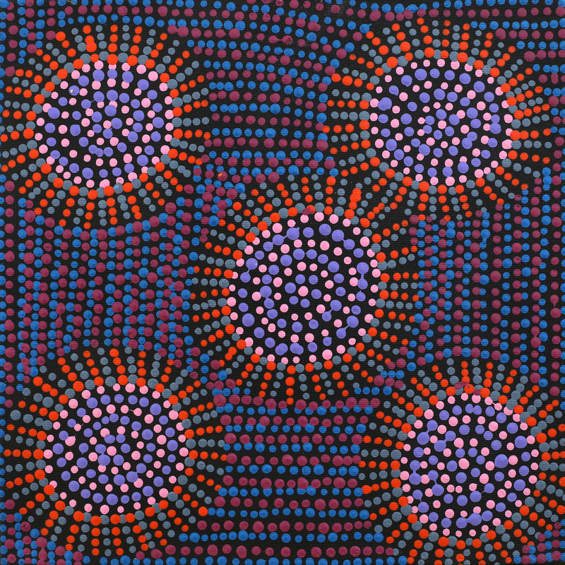 Aboriginal Artwork by Tina Napangardi Martin, Jinti-parnta Jukurrpa, 30x30cm