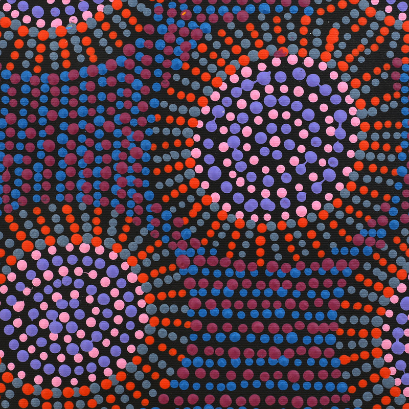 Aboriginal Artwork by Tina Napangardi Martin, Jinti-parnta Jukurrpa, 30x30cm