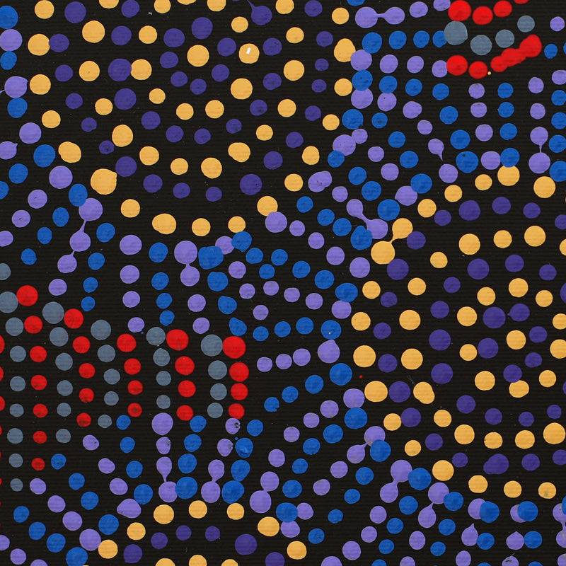 Aboriginal Artwork by Tina Napangardi Martin, Jintiparnta Jukurrpa (Desert Truffle Dreaming) - Mina Mina, 30x30cm