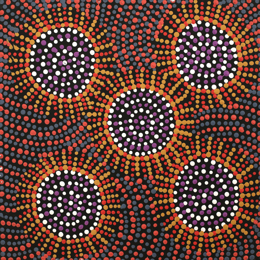 Aboriginal Artwork by Tina Napangardi Martin, Jintiparnta Jukurrpa (Desert Truffle Dreaming) - Mina Mina, 30x30cm