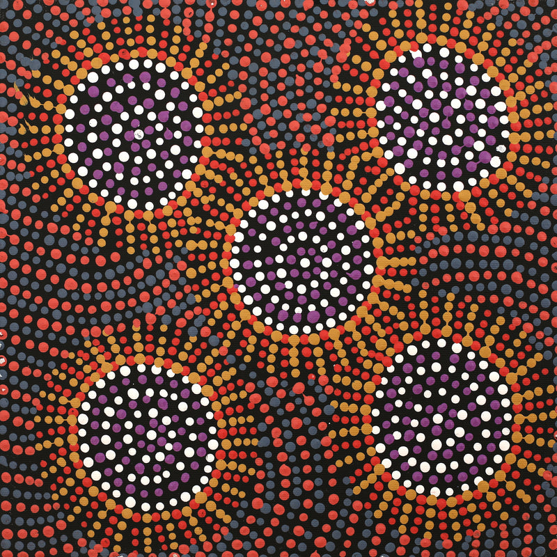 Aboriginal Artwork by Tina Napangardi Martin, Jintiparnta Jukurrpa (Desert Truffle Dreaming) - Mina Mina, 30x30cm