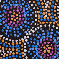 Tina Napangardi Martin, Jintiparnta Jukurrpa (Desert Truffle Dreaming) - Mina Mina, 30x30cm