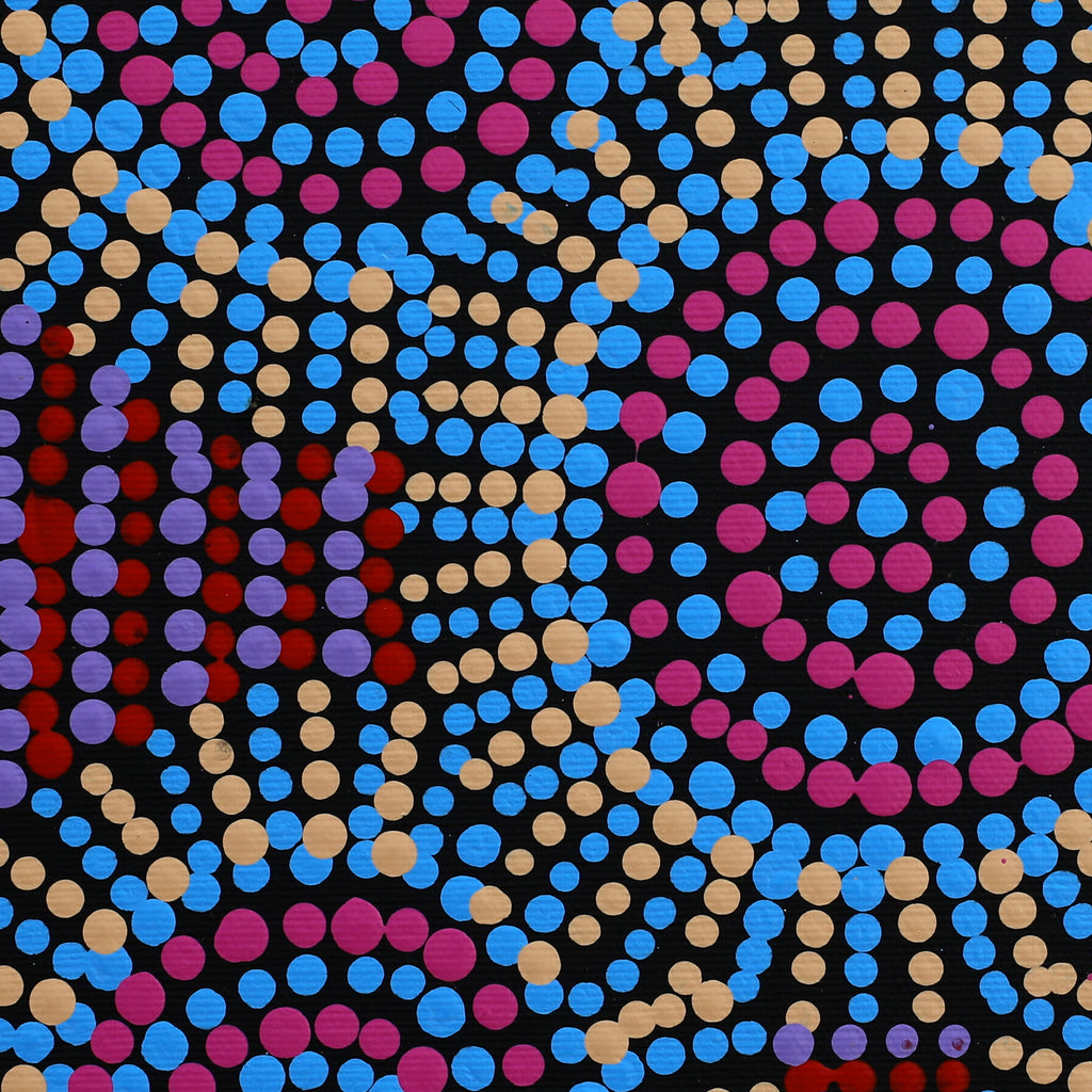 Aboriginal Art by Tina Napangardi Martin, Jintiparnta Jukurrpa (Desert Truffle Dreaming) - Mina Mina, 30x30cm - ART ARK®