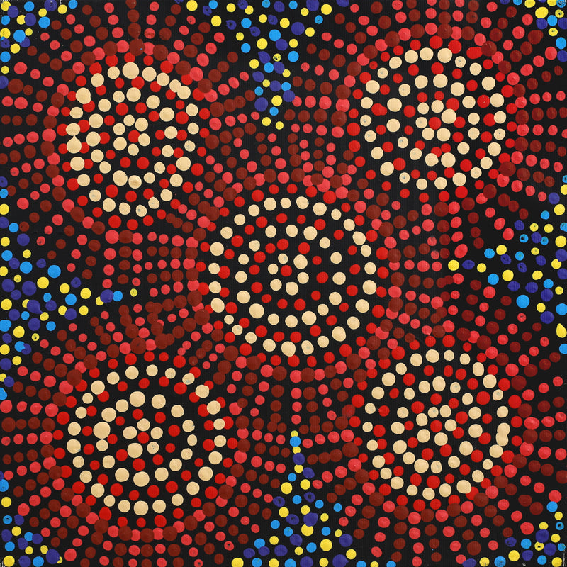 Aboriginal Artwork by Tina Napangardi Martin, Jintiparnta Jukurrpa (Desert Truffle Dreaming) - Mina Mina, 30x30cm