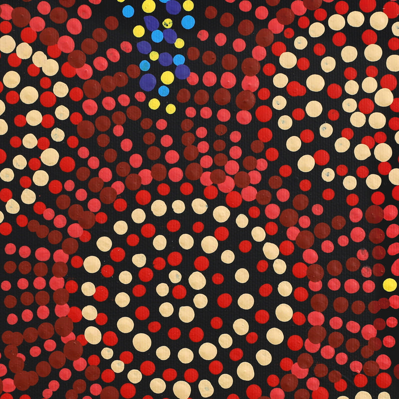 Aboriginal Artwork by Tina Napangardi Martin, Jintiparnta Jukurrpa (Desert Truffle Dreaming) - Mina Mina, 30x30cm