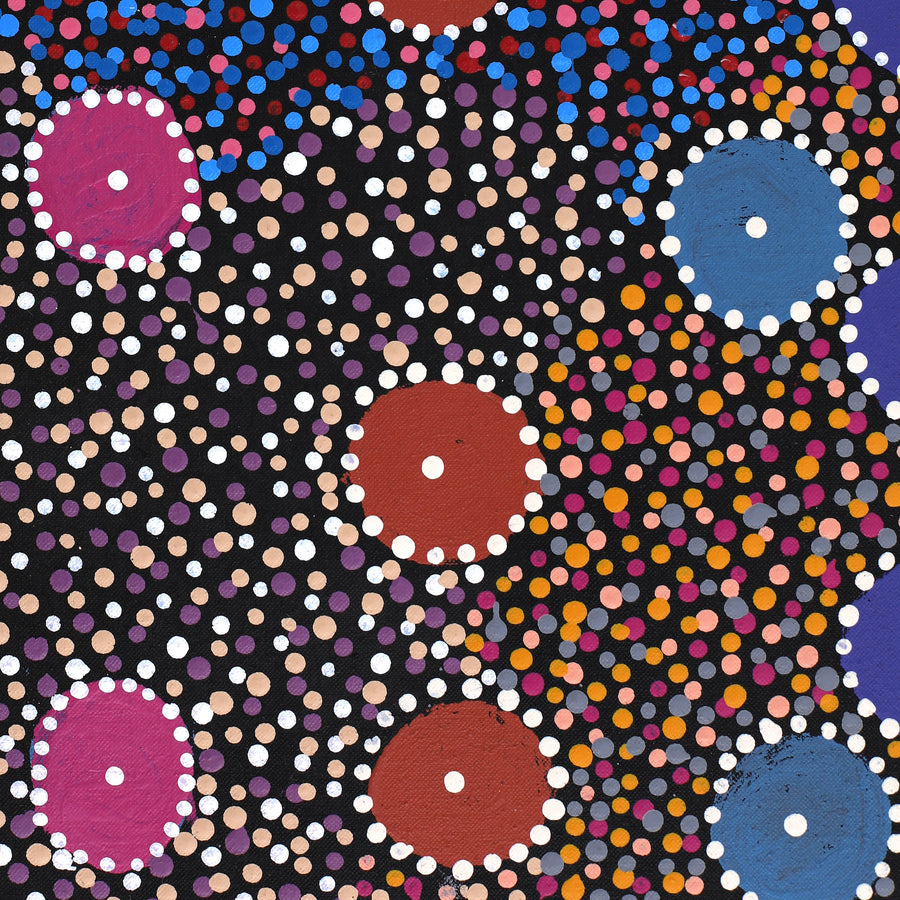 Aboriginal Artwork by Tina Napangardi Martin, Jintiparnta Jukurrpa (Desert Truffle Dreaming) - Mina Mina, 152x30cm