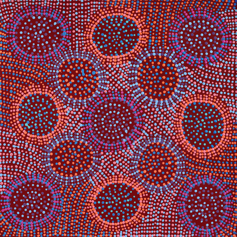 Aboriginal Artwork by Tina Napangardi Martin, Jintiparnta Jukurrpa (Desert Truffle Dreaming) - Mina Mina, 46x46cm