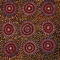 Aboriginal Art by Tina Napangardi Martin, Jintiparnta Jukurrpa (Desert Truffle Dreaming) - Mina Mina, 46x46cm - ART ARK®