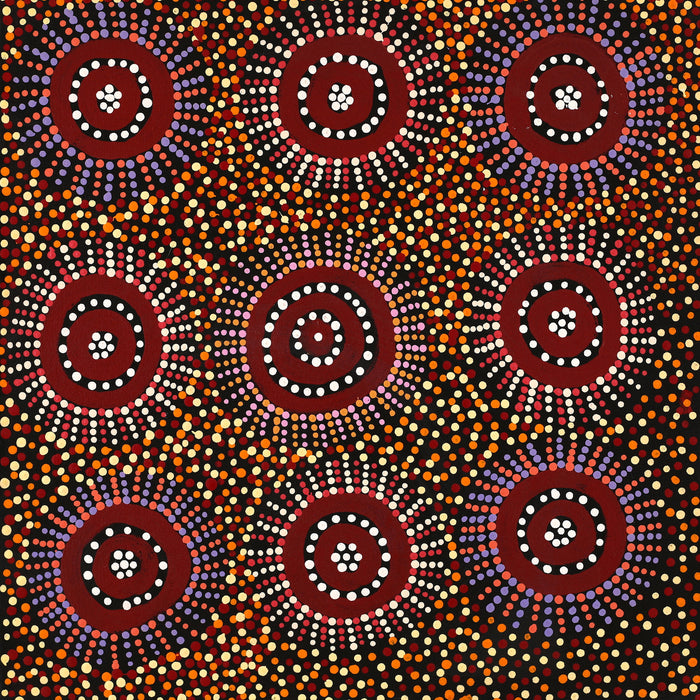 Aboriginal Art by Tina Napangardi Martin, Jintiparnta Jukurrpa (Desert Truffle Dreaming) - Mina Mina, 46x46cm - ART ARK®