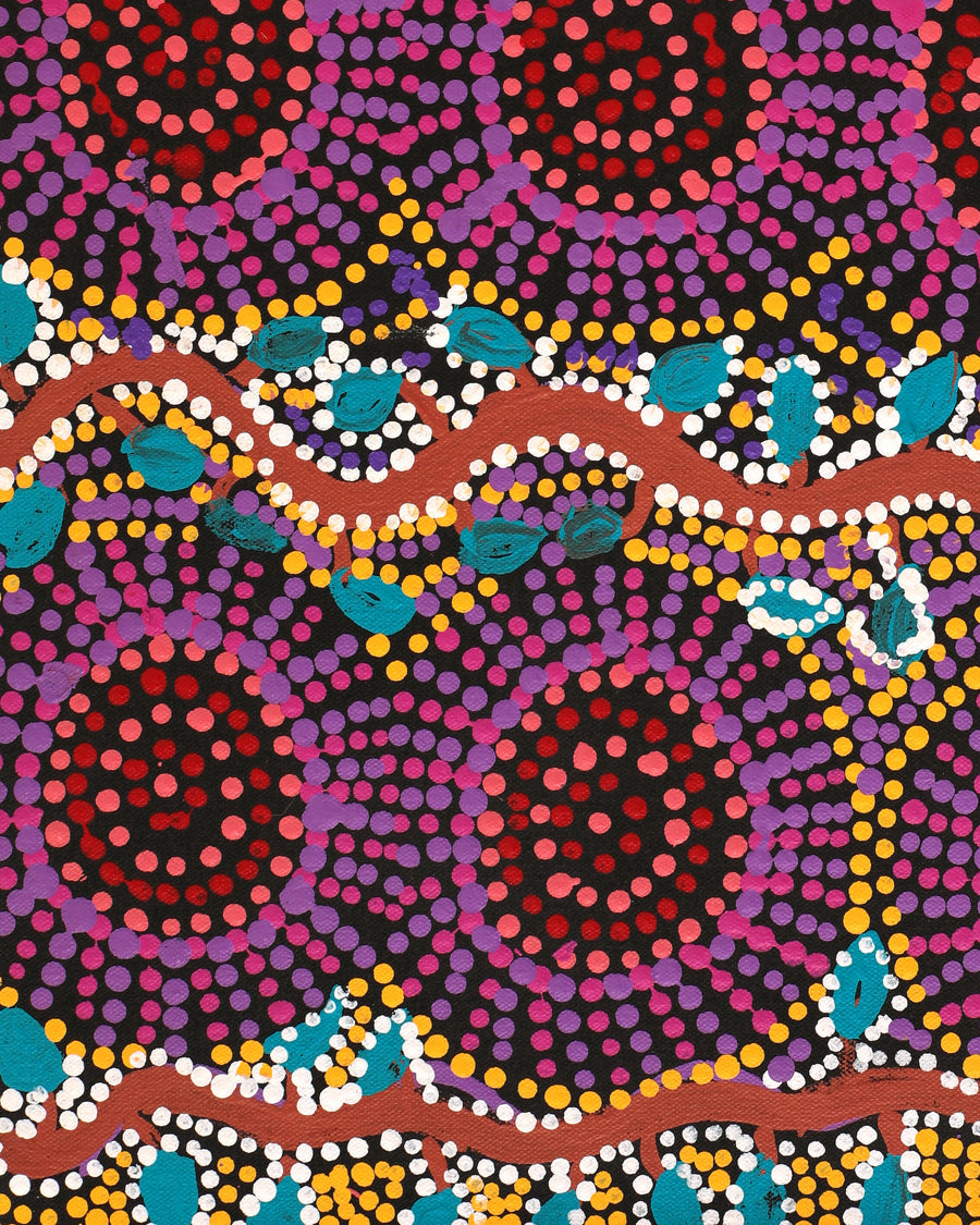 Aboriginal Artwork by Tina Napangardi Martin, Jintiparnta Jukurrpa (Desert Truffle Dreaming) - Mina Mina, 61x30cm
