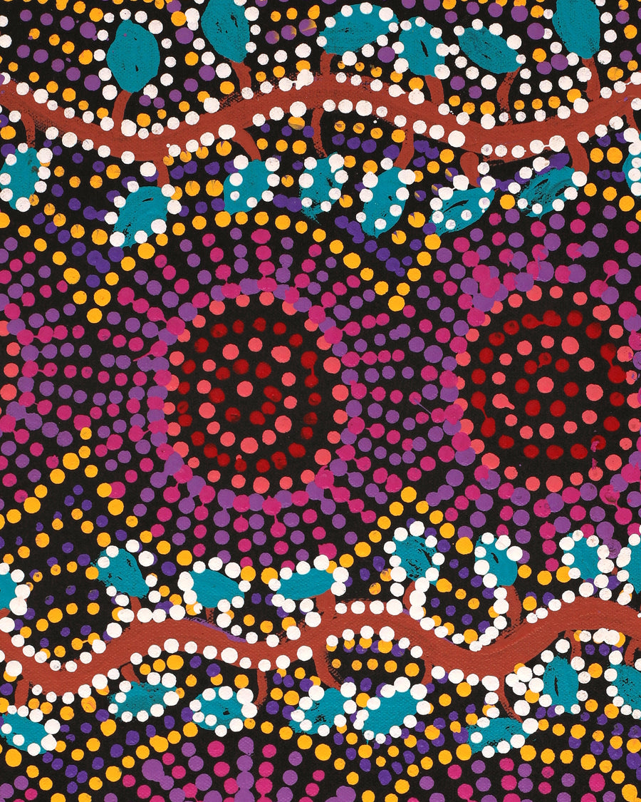 Aboriginal Artwork by Tina Napangardi Martin, Jintiparnta Jukurrpa (Desert Truffle Dreaming) - Mina Mina, 61x30cm