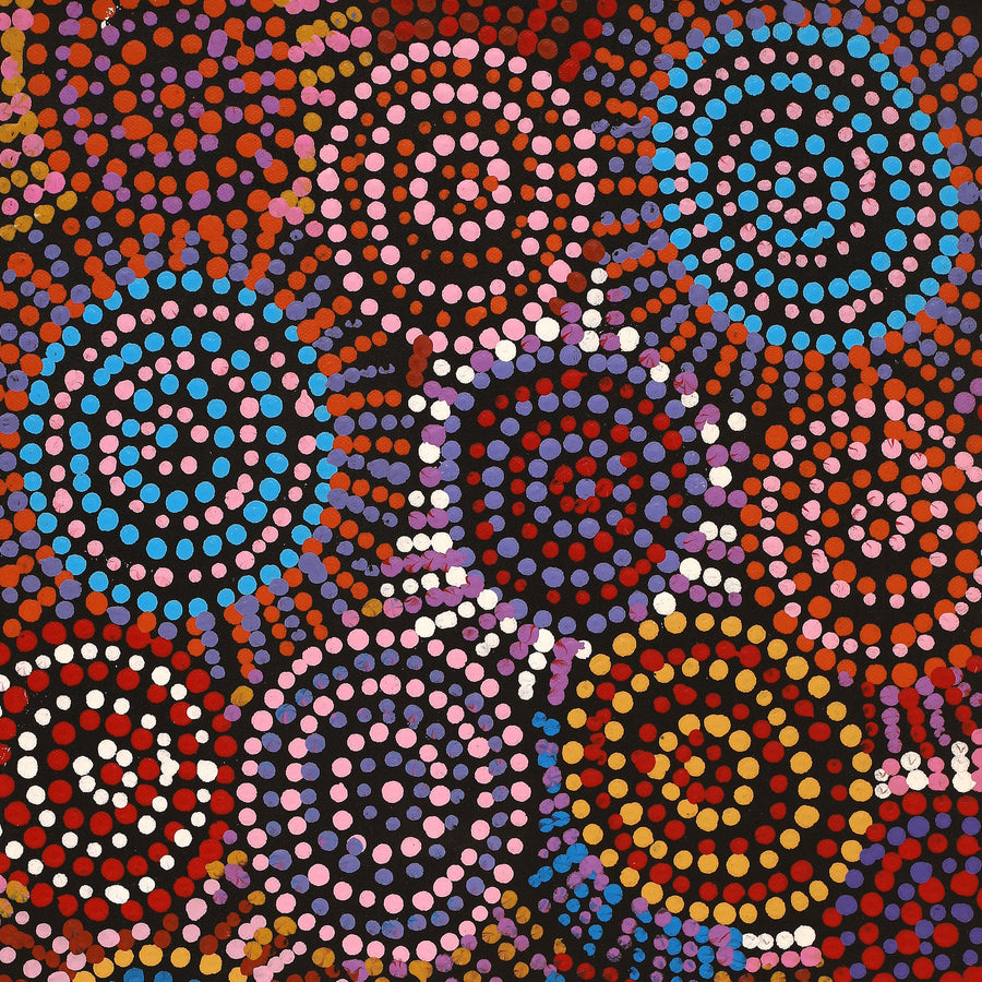 Aboriginal Artwork by Tina Napangardi Martin, Jintiparnta Jukurrpa (Desert Truffle Dreaming) - Mina Mina, 61x30cm