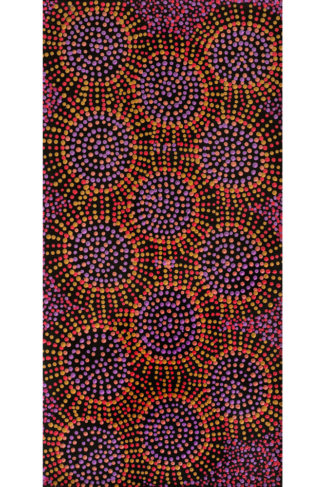 Aboriginal Artwork by Tina Napangardi Martin, Jintiparnta Jukurrpa (Desert Truffle Dreaming) - Mina Mina, 61x30cm