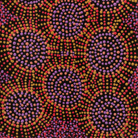 Aboriginal Artwork by Tina Napangardi Martin, Jintiparnta Jukurrpa (Desert Truffle Dreaming) - Mina Mina, 61x30cm