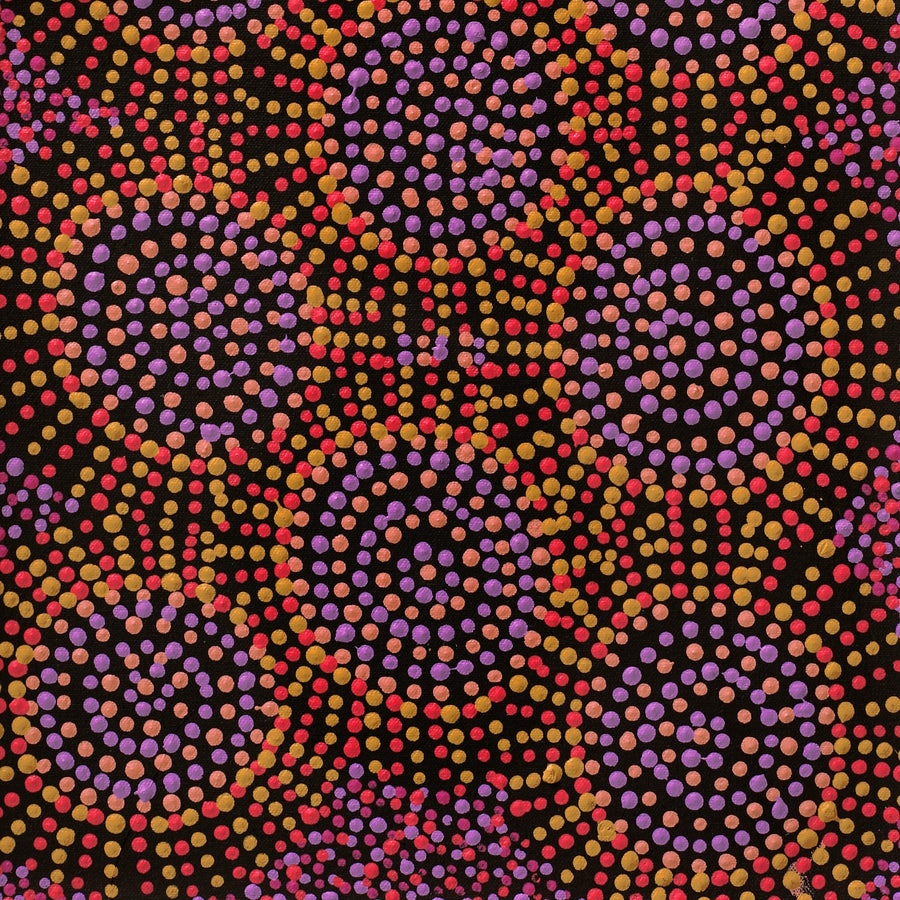 Aboriginal Artwork by Tina Napangardi Martin, Jintiparnta Jukurrpa (Desert Truffle Dreaming) - Mina Mina, 61x30cm