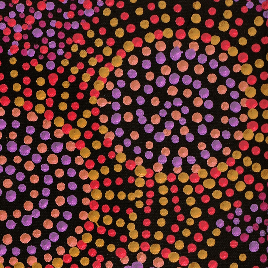 Aboriginal Artwork by Tina Napangardi Martin, Jintiparnta Jukurrpa (Desert Truffle Dreaming) - Mina Mina, 61x30cm