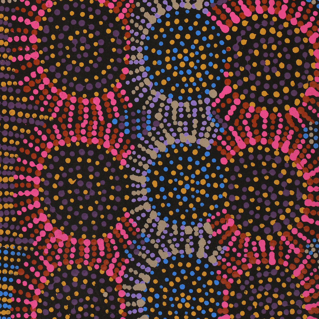 Aboriginal Artwork by Tina Napangardi Martin, Jintiparnta Jukurrpa (Desert Truffle Dreaming) - Mina Mina, 61x30cm